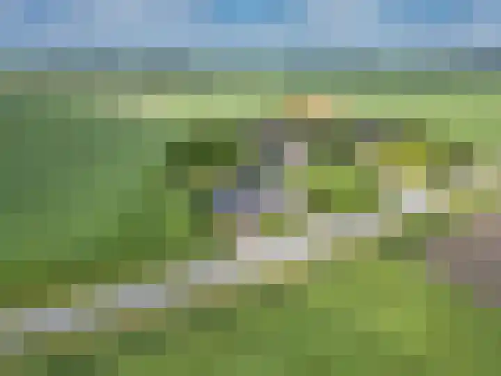 Oosterlaan 5 Schraard thumbnail 45
