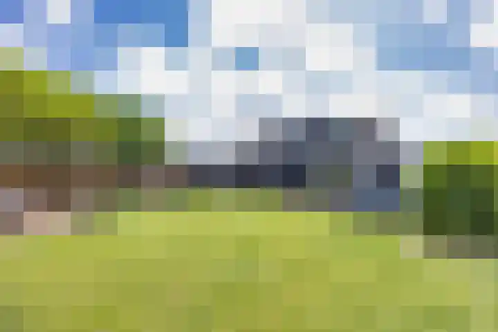 Oosterlaan 5 Schraard thumbnail 5