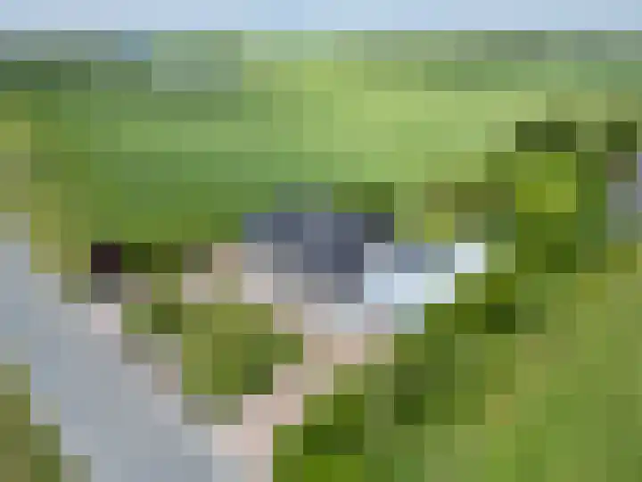 Oosterlaan 5 Schraard thumbnail 50