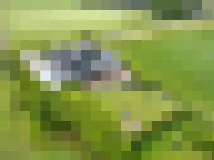 Oosterlaan 5 Schraard thumbnail 51