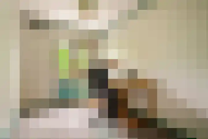 Oostermoer 64 Haarlem thumbnail 30