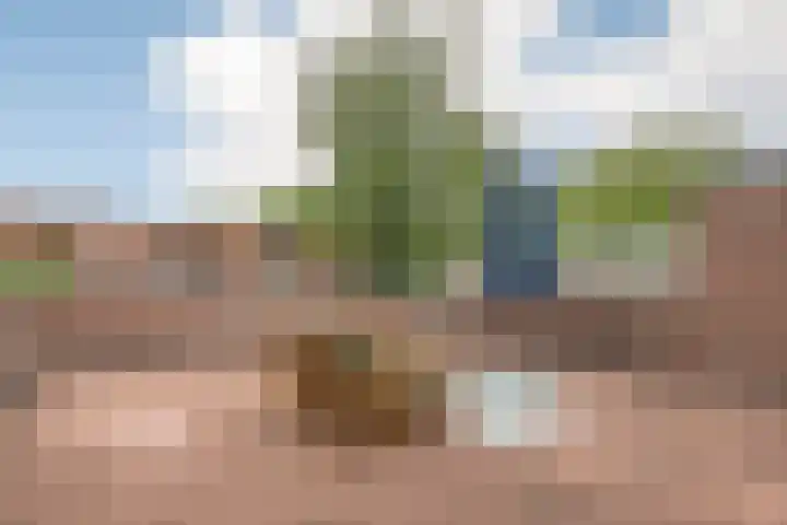 Oostermoer 64 Haarlem thumbnail 37