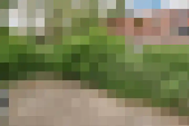 Oostermoer 64 Haarlem thumbnail 39