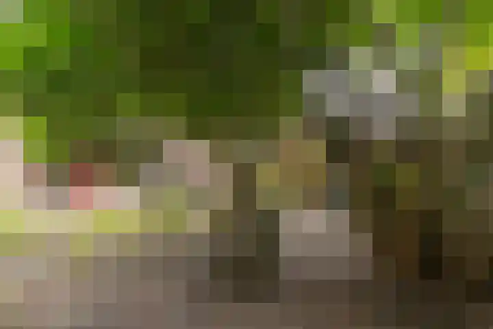 Oostermoer 64 Haarlem thumbnail 49