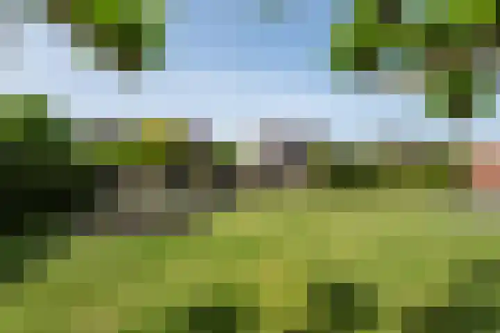 Oosterom 8 Sneek thumbnail 100