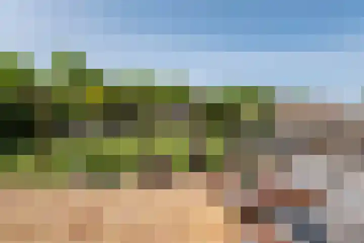 Oosterom 8 Sneek thumbnail 103