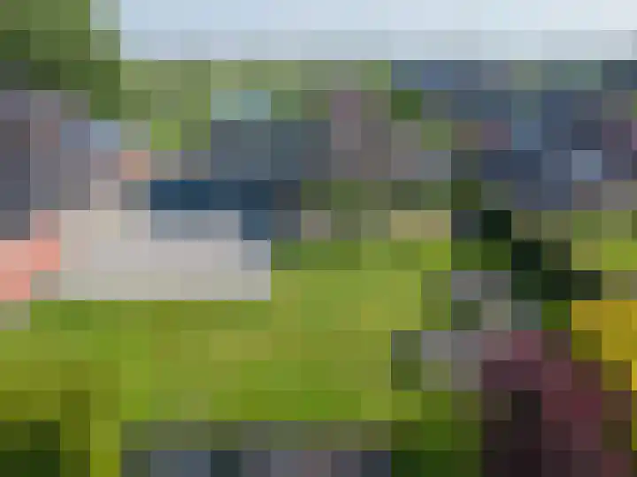 Oosterom 8 Sneek thumbnail 105