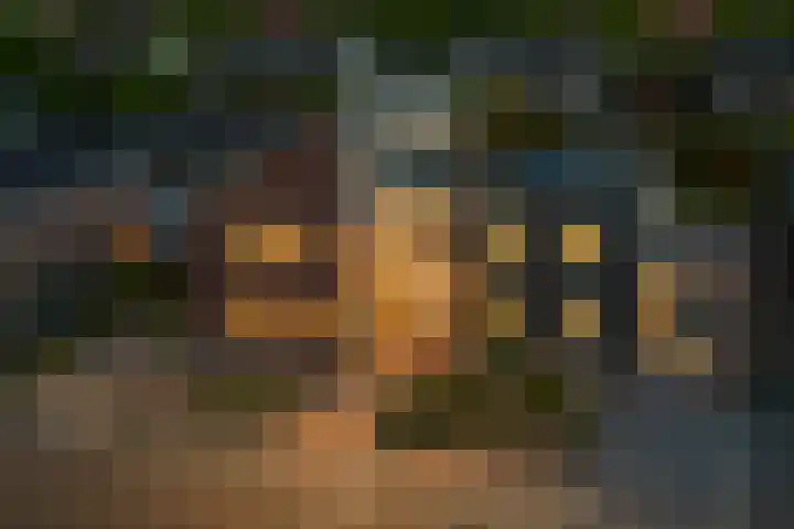 Oosterom 8 Sneek thumbnail 16