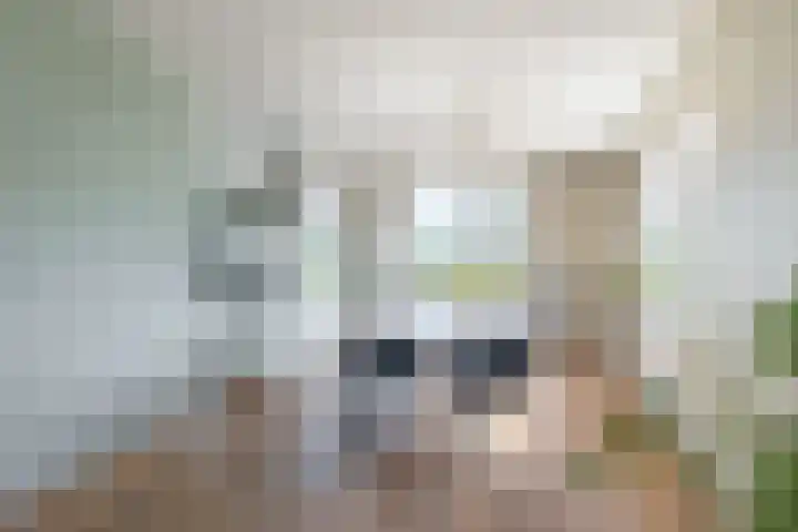 Oosterom 8 Sneek foto 3
