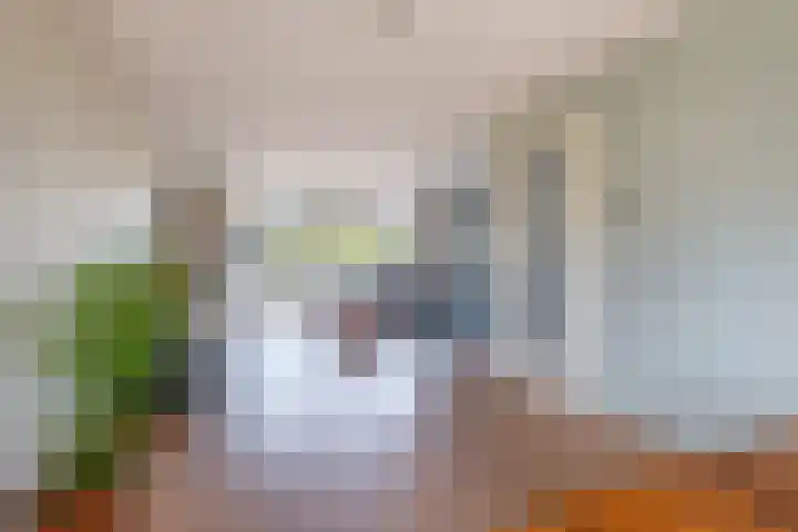Oosterom 8 Sneek thumbnail 30