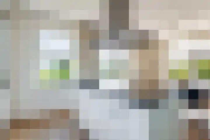 Oosterom 8 Sneek thumbnail 35