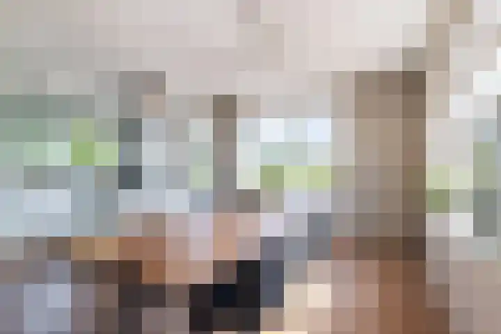 Oosterom 8 Sneek thumbnail 38