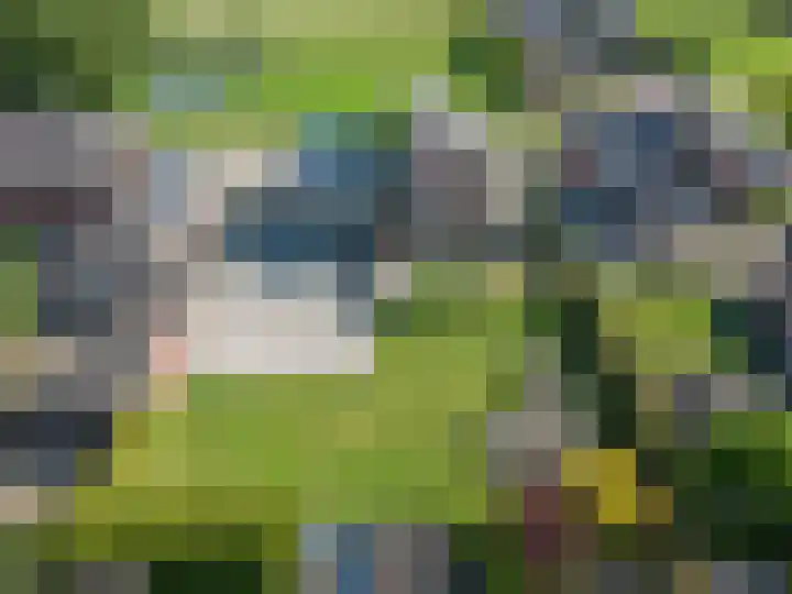 Oosterom 8 Sneek thumbnail 5