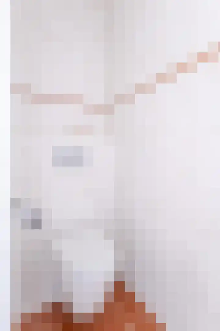Oosterom 8 Sneek thumbnail 65