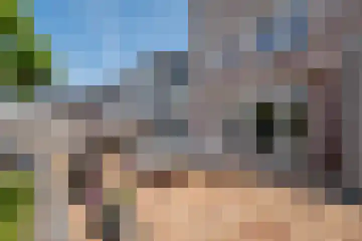Oosterom 8 Sneek thumbnail 84