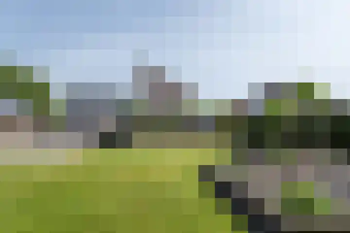 Oosterom 8 Sneek thumbnail 90