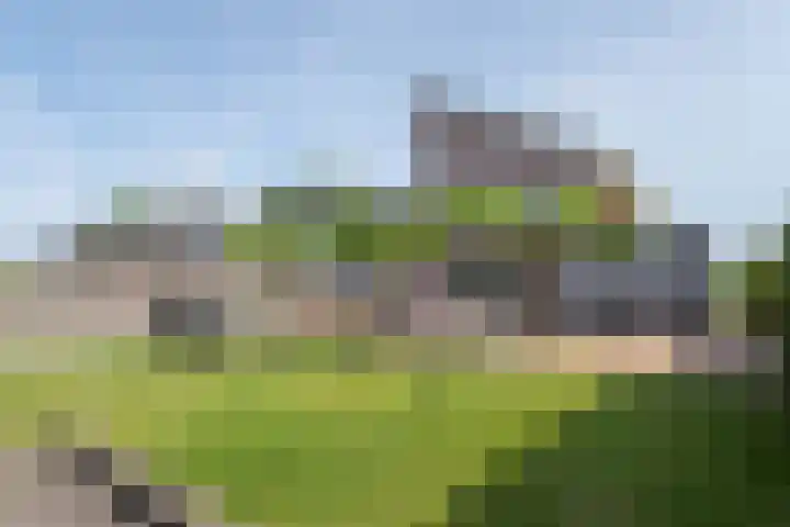 Oosterom 8 Sneek thumbnail 91