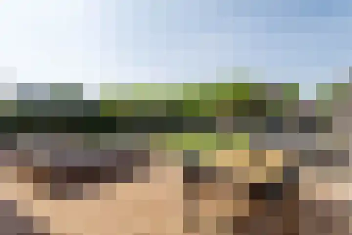 Oosterom 8 Sneek thumbnail 96