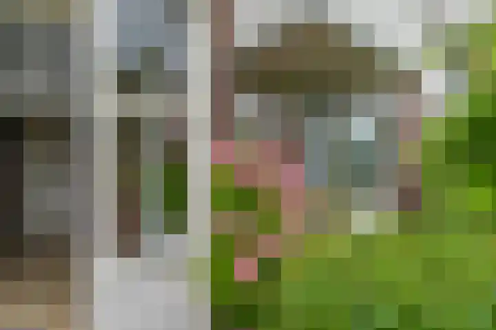 Oosterpark 19 Assen thumbnail 10