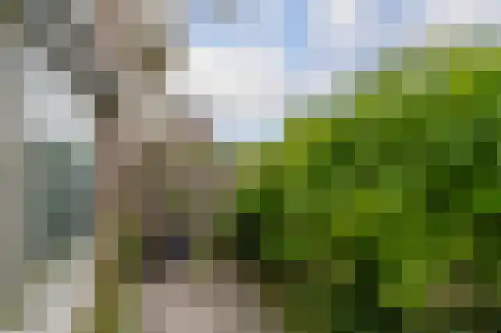 Oosterpark 19 Assen thumbnail 12