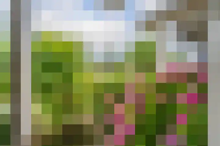 Oosterpark 19 Assen thumbnail 20