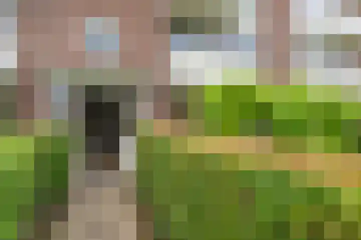 Oosterpark 19 Assen thumbnail 9