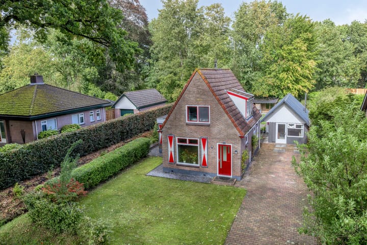 Oosterse Es 67 in Appelscha foto