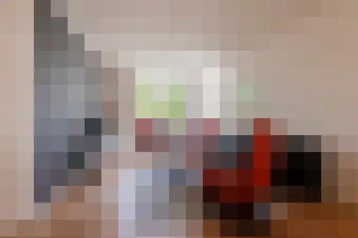 Oostersingel 4 Culemborg thumbnail 4