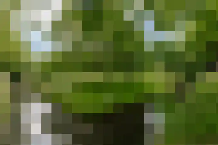 Oostersingel 4 Culemborg thumbnail 40