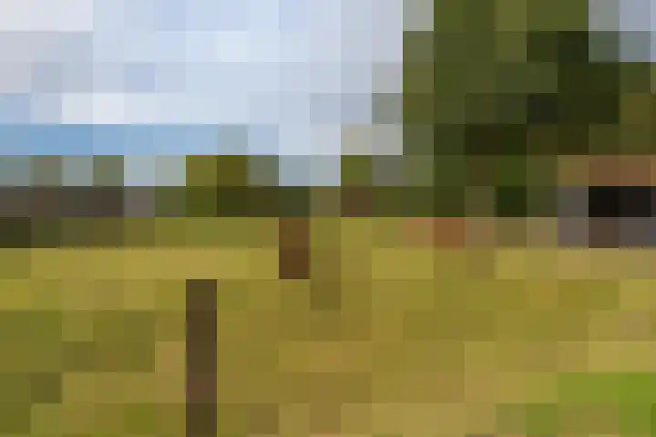 Oostersingel 65 Wedde thumbnail 12