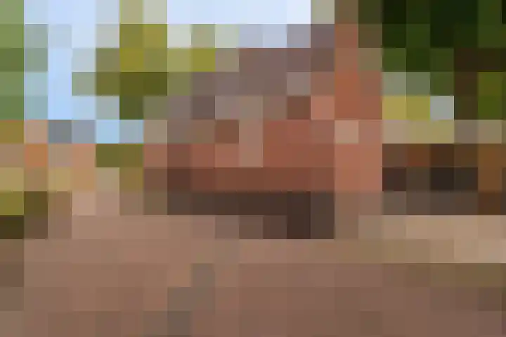 Oostersingel 65 Wedde thumbnail 15