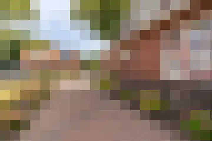 Oostersingel 65 Wedde thumbnail 17