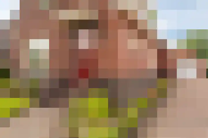 Oostersingel 65 Wedde thumbnail 18