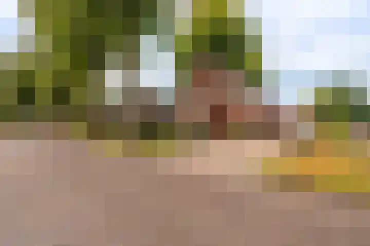 Oostersingel 65 Wedde thumbnail 20