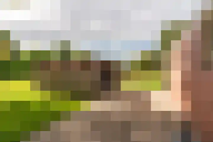 Oostersingel 65 Wedde thumbnail 8
