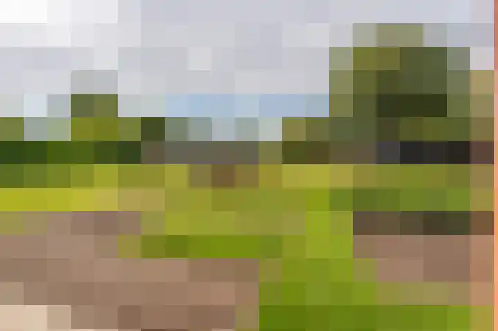 Oostersingel 65 Wedde thumbnail 9