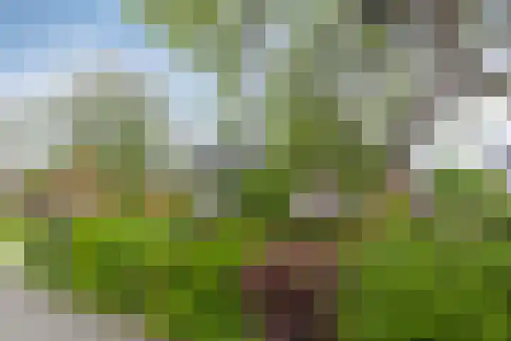 Oosterstraat 20 Sauwerd thumbnail 10