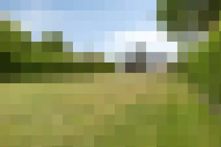 Oosterstraat 20 Sauwerd thumbnail 25