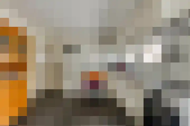 Oosterstraat 20 Sauwerd thumbnail 29
