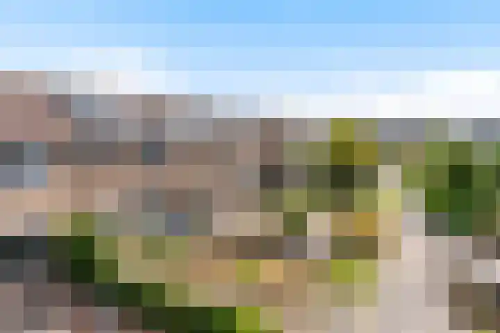 Oosterstraat 20 Sauwerd thumbnail 31