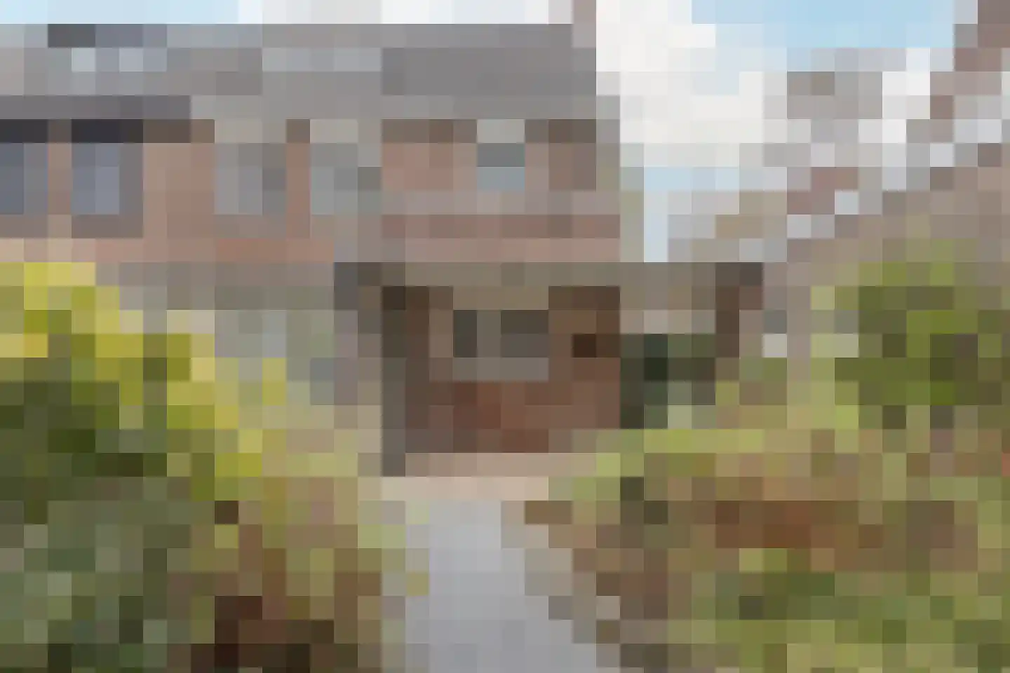 Oosterstraat 20 Sauwerd thumbnail 43