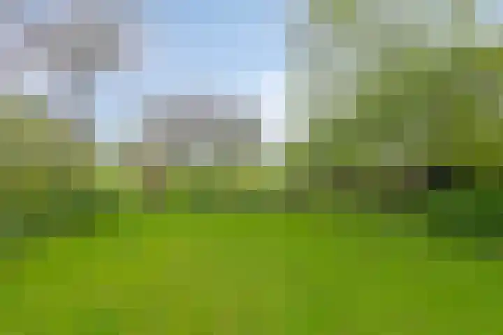 Oosterstraat 20 Sauwerd thumbnail 49