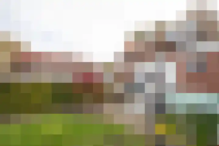 Oosterstraat 20 Sauwerd thumbnail 51