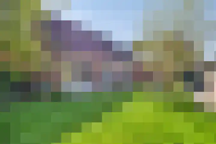 Oosterstraat 20 Sauwerd thumbnail 6