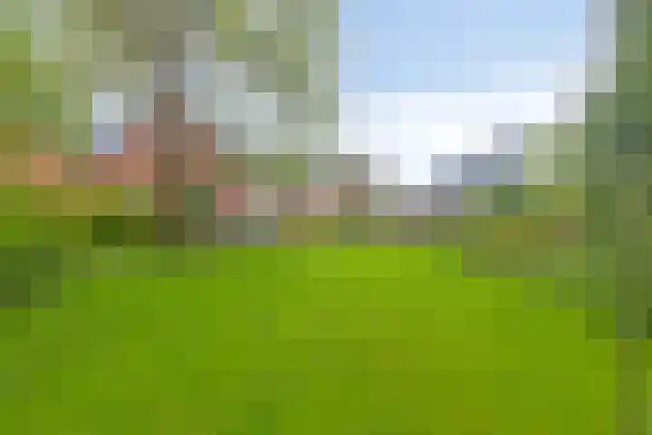 Oosterstraat 20 Sauwerd thumbnail 7