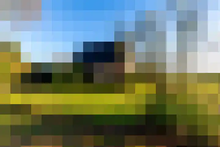 Oosterstraat 4 Donderen thumbnail 4