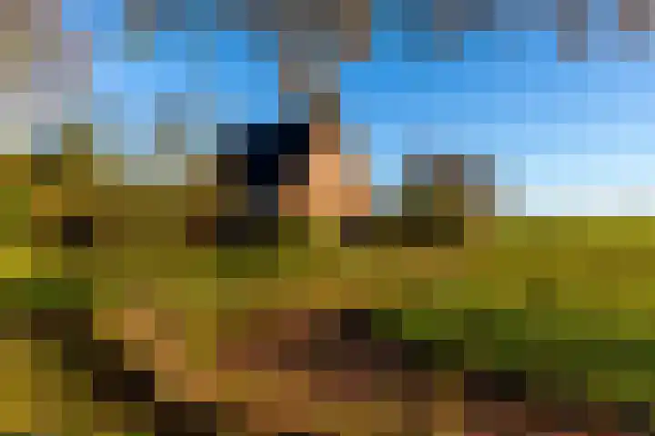 Oosterstraat 4 Donderen thumbnail 5