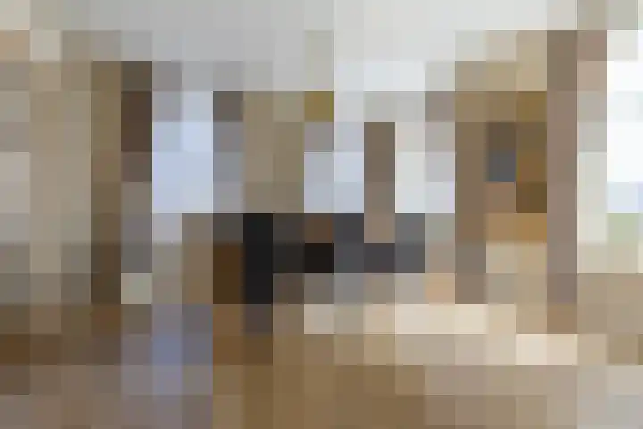 Oosterstraat 55 Warffum thumbnail 17