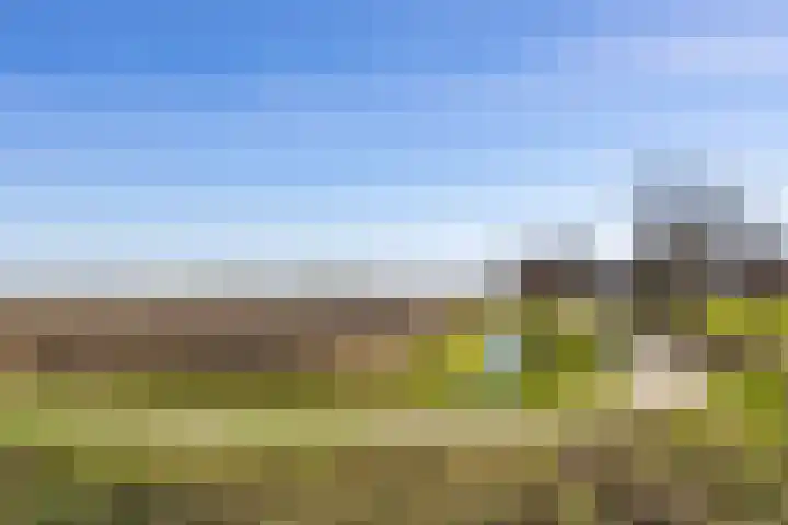 Oosterstraat 55 Warffum thumbnail 40