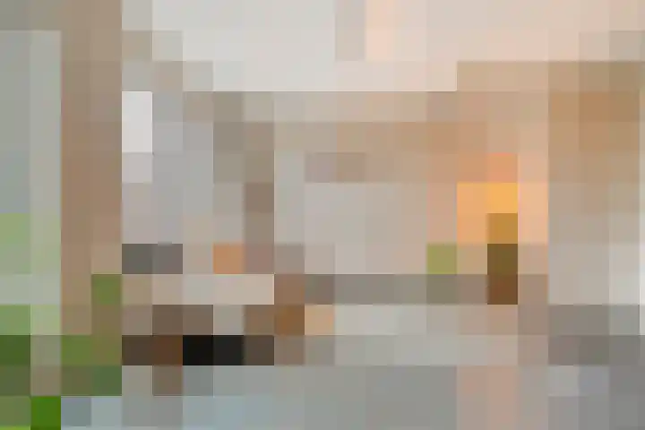 Oosterveen 8 Raalte thumbnail 10
